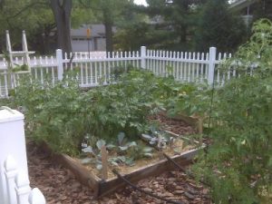 sustainable-garden_1